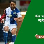 Soi kèo xiên 10/3 bongdalu vip