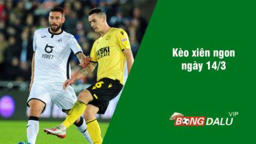 soi kèo xiên 14/3 bongdalu vip