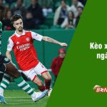 soi kèo xiên 16/3 bongdalu vip