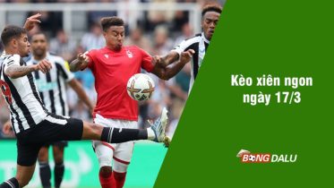 soi kèo xiên 17/3 bongdalu vip