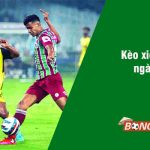 Soi kèo xiên 9/3 bongdalu vip