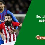 Soi kèo xiên 12/3 bongdalu vip