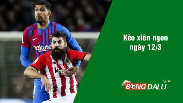 Soi kèo xiên 12/3 bongdalu vip