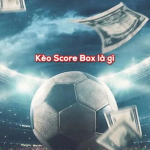 Tim hieu keo Score box la gi - Bongdalu Vip