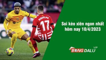 soi kèo xiên 10/4 bongdalu vip