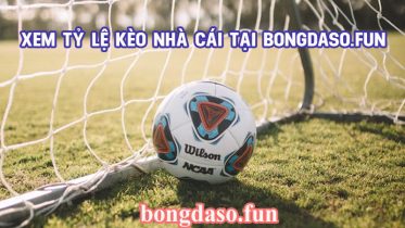 ty le keo nha cai - Bongdalu Vip