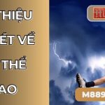 Giới thiệu đôi nét về M88 thể thao