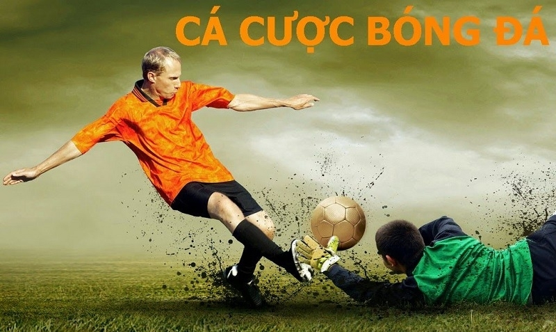 Mẹo Chơi Cá Cược Bóng Đá Tại W88 Hiệu Quả