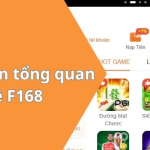 CMD – Nền Tảng Cá Cược Thể Thao Chuyên Nghiệp