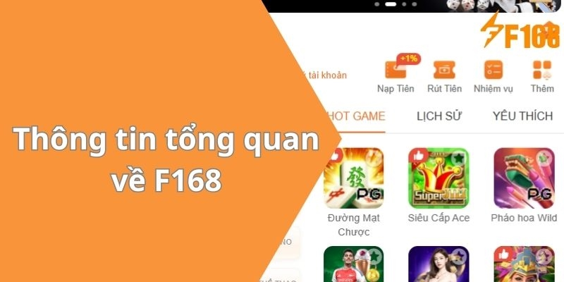 CMD – Nền Tảng Cá Cược Thể Thao Chuyên Nghiệp