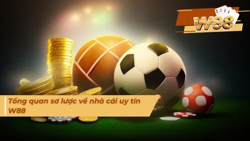 Vì Sao Nên Chọn Cá Cược Bóng Đá Tại W88?