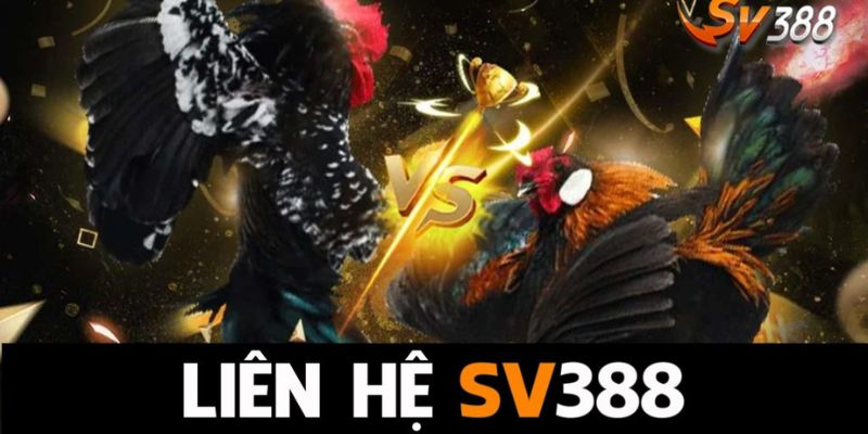 lien he sv388 qua thread - Bongdalu Vip