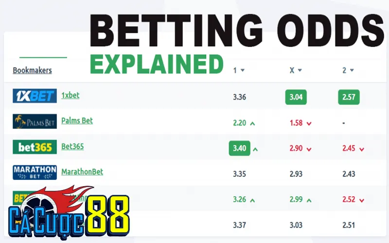 ty le keo la gi hieu dung ban chat cua tro choi con so - Bongdalu Vip