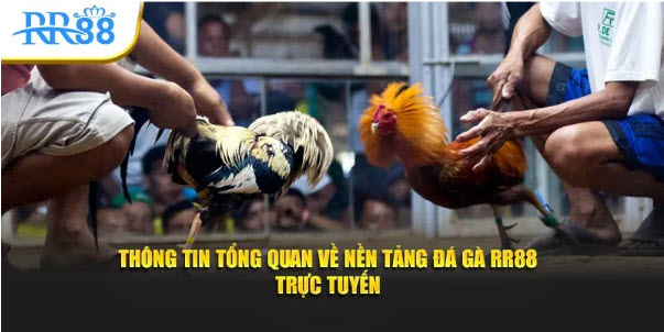 2025 08 05 10 47 42 - Bongdalu Vip