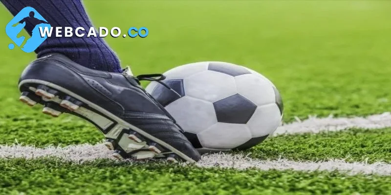 Lưu ý cần biết khi cá cược bóng đá trực tuyến
